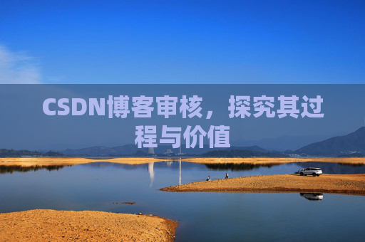 CSDN博客审核，探究其过程与价值